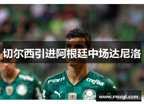 切尔西引进阿根廷中场达尼洛